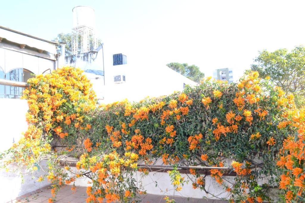 Apartmán Casa Colonial En Salta Nueva Y Antigua Exteriér fotografie