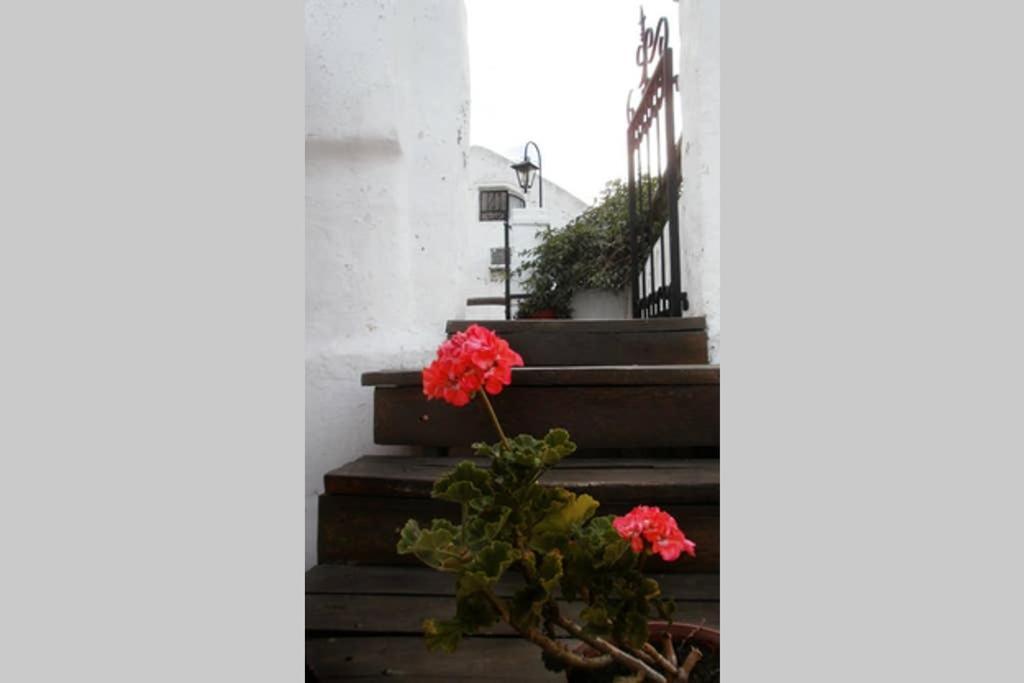 Apartmán Casa Colonial En Salta Nueva Y Antigua Exteriér fotografie