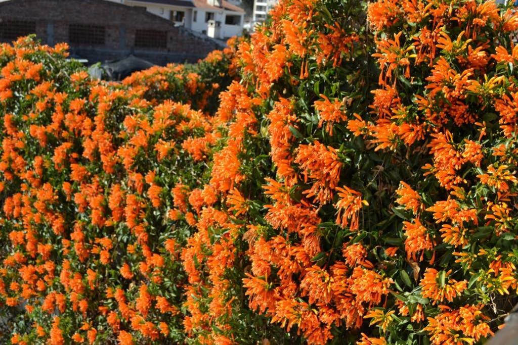 Apartmán Casa Colonial En Salta Nueva Y Antigua Exteriér fotografie